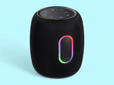 Speaker